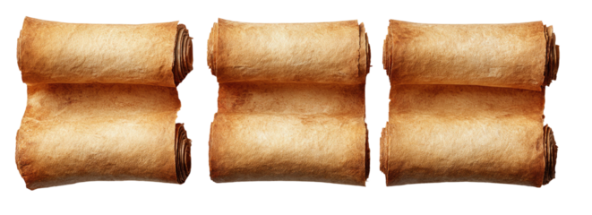 Three old papyrus scrolls, horizontal, with rolled edges