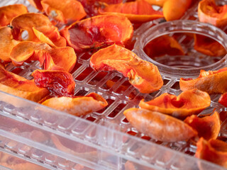 Juicy persimmon slices being dried in transparent plastic food dehydrator, natural sweet fruit snack preparation. Close Up macro shot.