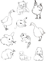 251115_다람쥐+거위+토끼+닭+고양이