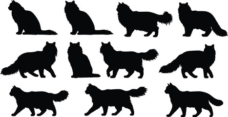 Cat silhouettes collection, domestic feline vector illustration, black cat design, walking sitting standing poses, pet animal artwork, feline graphic decoration