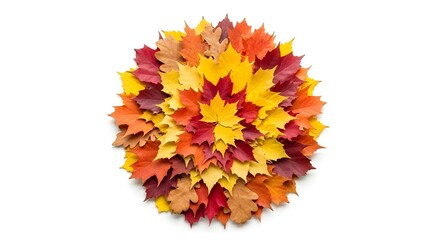 Vibrant autumn leaves arranged in a beautiful circular pattern, perfect for seasonal promotions and designs.