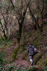 Obraz premium Rear view of a lone hiker walking on a woodland path.