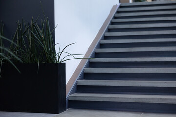 Stunning modern staircase with sleek design and lush greenery accents in a contemporary space