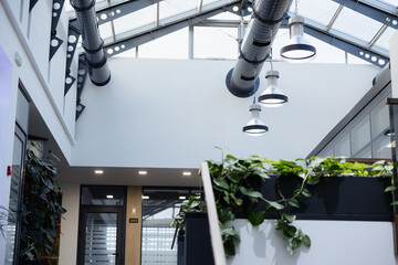 Modern indoor space with large windows and greenery in a contemporary building setting