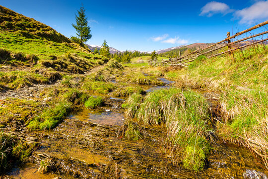rural scene of carpathian mountain landscape in spring. green countryside with forested hills. sunny morning near podobovets village in ukraine. beautiful valley sustainable development under blue sky - Powered by Adobe