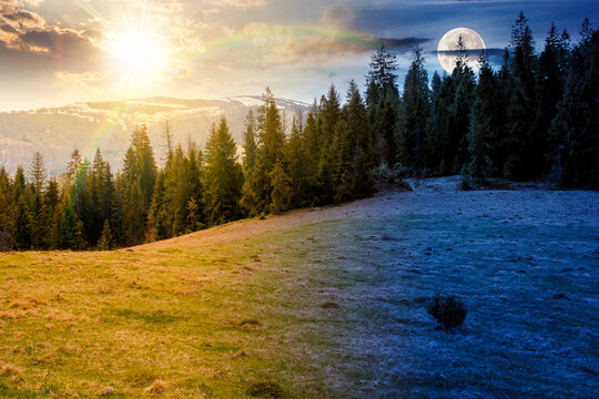mountain landscape with spruce forest on spring equinox. day and night time change concept. green meadow on the hill with sun and moon. distant range in snow under sky with clouds. beautiful scenery