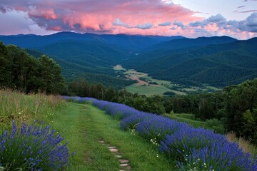 Serene Landscape with Lavender Fields and Majestic Mountain View
