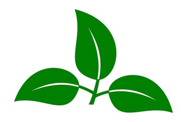 Original hand drawn green leaves symbol icon, JPEG version.