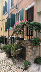 details of streets in old town of Rovinj decorated with plants and blooming flowers