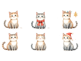 Collection of a Cute group of playful domestic cats and kittens posing together icon on a white background