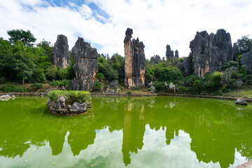Stone Forest, Shilin, Kunming China