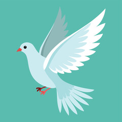 Flying White Dove - Symbol of Peace and Freedom