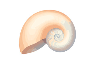 Obraz premium Nautilus shell cross section displaying perfect logarithmic spiral structure
