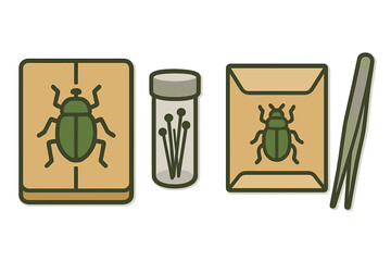 Tools and pinned insect specimens for entomology collection and study © Mark