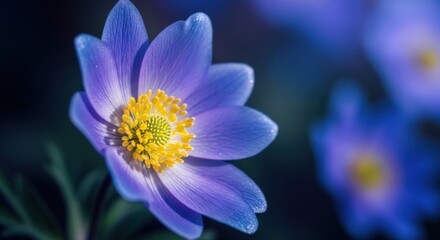 Fototapeta premium Beautiful purple flower blooms in a lush garden under soft sunlight during spring season