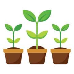 Indoor Plant Collection in Pots – Vector Illustration