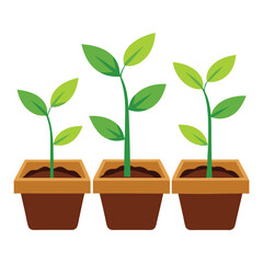 Indoor Plant Collection in Pots – Vector Illustration