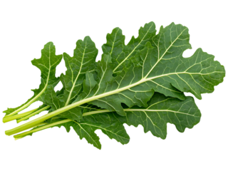 Green spinach leaf isolated on transparent background. Perfect for healthy food, cooking, and vegan design.