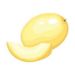Melon. Vector illustration. Highlights, shadows. Isolated on white background.