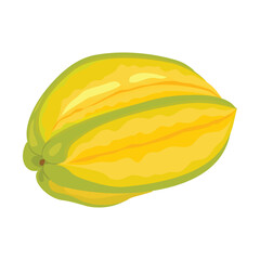 Starfruit. Vector illustration. Highlights and shadows. Isolated on white background.