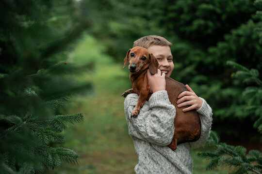 Happy 10 year old boy choosing a Christmas tree at the market with his little dog. Winter holidays.