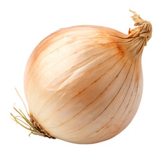 Onion isolated on a transparent background
