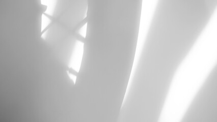 Background shadow white light wall floor backdrop overlay leaf mockup summer sunight overlay nature on room cement abstract blur muckup effect grey minimal platform for presentation product