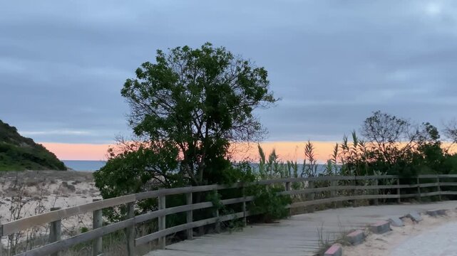 A wooden path leads through dunes and trees toward the ocean horizon under the soft Algarve sky in Zavial beach