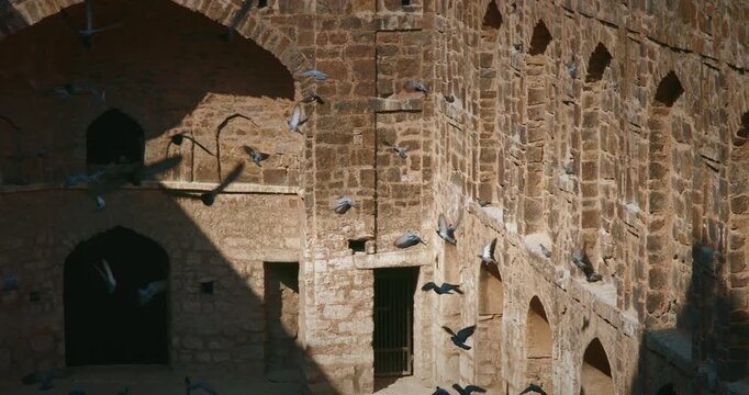 Agrasen Ki Baoli or Ki Baoli in New Delhi. Pigeons Flying Around Ancient Architecture slow motion, slow motion footage,