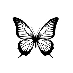 Colorful Tropical Butterfly Vector Illustration