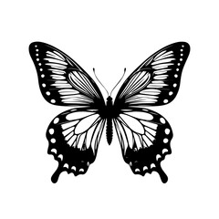 Elegant Vibrant Butterfly Vector Illustration