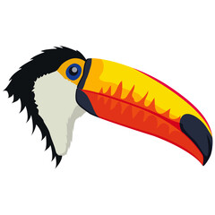 Obraz premium Colorful toucan beak and head.