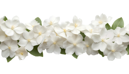 White flowers bouquet arrangement on transparent background perfect for spring season design