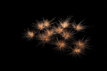 happy friends celebrate life together as they ignite dazzling fireworks in night sky