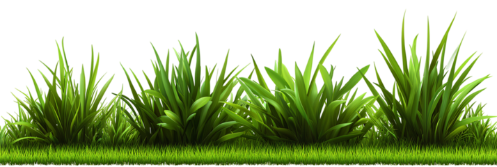 Fresh Green Grass Border With Bushes Isolated on Transparent Background Natural Spring Growth