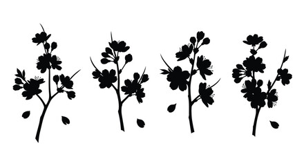 Four black cherry blossom branches