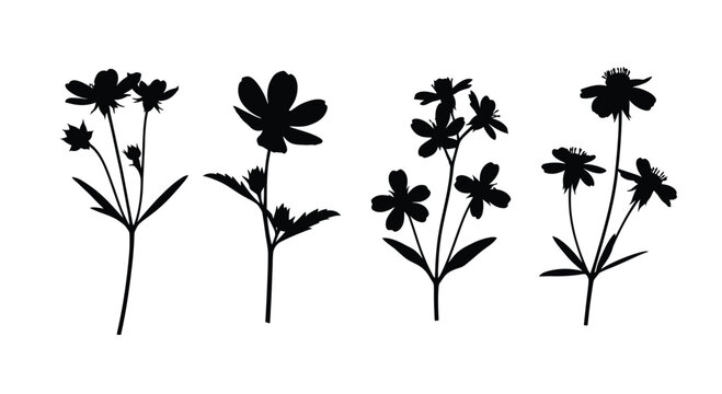 Silhouette of four buttercup flowers