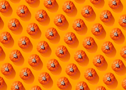 Top view of small pumpkins in pattern on orange background