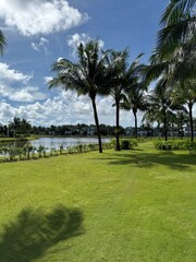 Tropical Landscape Design in Phu Quoc: Manicured Lawn, Tall Palm Trees, and Scenic Water View Reflecting the Sky. 