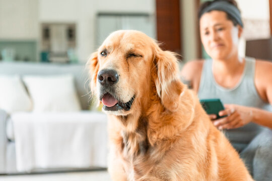 Woman with Golden Retriever enjoying time at home