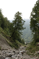 river in the mountains