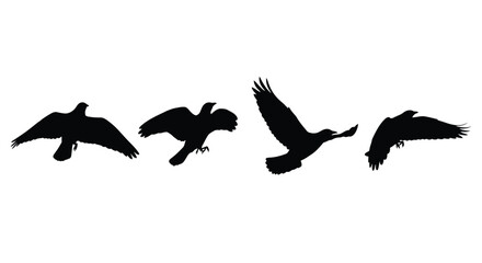 Four birds silhouette in different positions