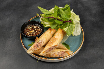 Meat Spring Rolls