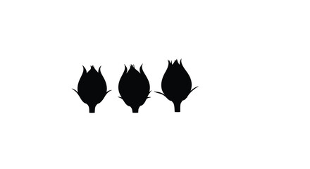 Three sorghum seed silhouettes for agriculture