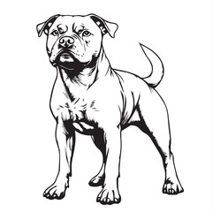 Fototapeta premium pitbull dog puppy
