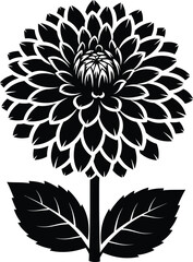 Black and white dahlia flower vector illustration floral design art eps silhouette