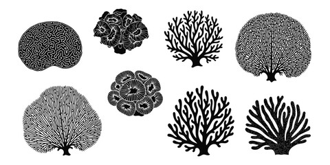 Collection of Black Coral Silhouettes ocean marine