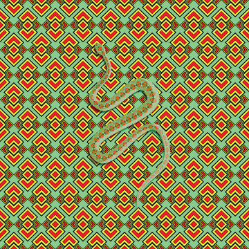 viper snake drawing with ornament hiding in pattern background