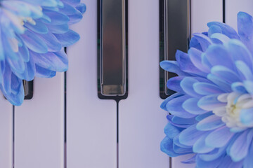 Floral composition: two blooms on the piano keys, creating an elegant visual template