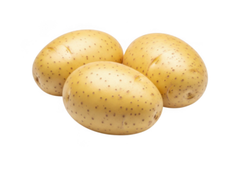 Three yellow potatoes isolated on transparent background for cooking and recipes